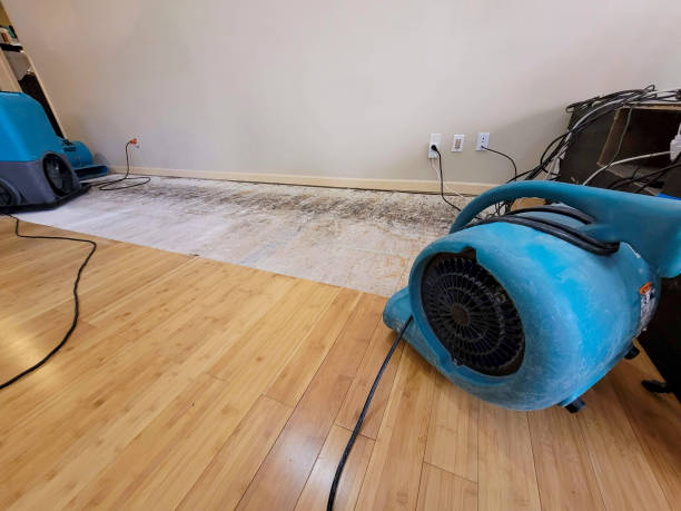Professional Flood Damage Cleanup technician working in Burke, VA